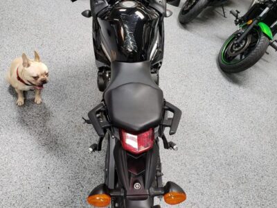 2014 Yamaha FZ6R