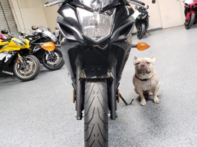2014 Yamaha FZ6R