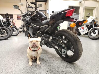 2014 Yamaha FZ6R