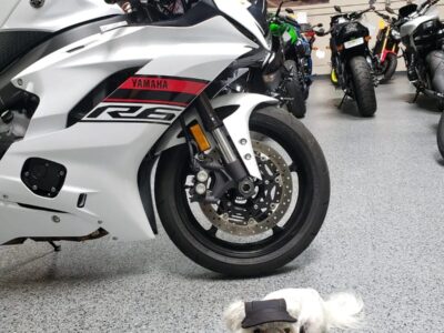 2019 Yamaha R6