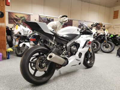 2019 Yamaha R6