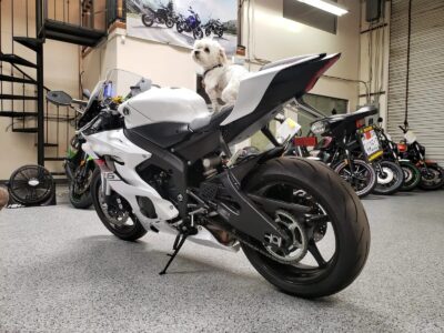 2019 Yamaha R6