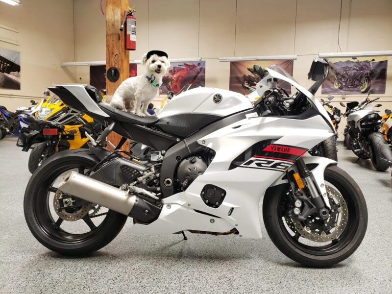 2019 Yamaha R6
