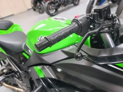 2013 Kawasaki Ninja 300 Special Edition