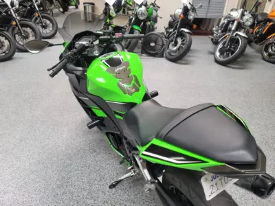 2013 Kawasaki Ninja 300 Special Edition
