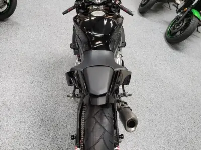2015 Yamaha R1 RAVEN