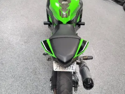 2013 Kawasaki Ninja 300 Special Edition