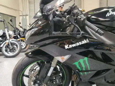 2009 Kawasaki Ninja ZX6R MONSTER EDITION