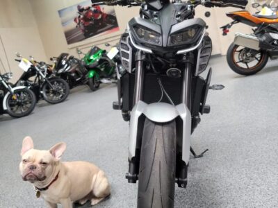 2017 Yamaha FZ09 FZ-09 ABS