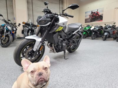 2017 Yamaha FZ09 FZ-09 ABS