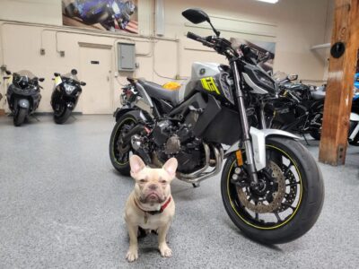 2017 Yamaha FZ09 FZ-09 ABS
