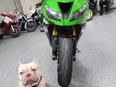 2013 Kawasaki Ninja 636 ZX6R