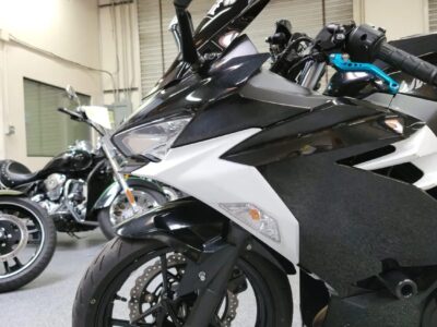 2019 Kawasaki Ninja 400