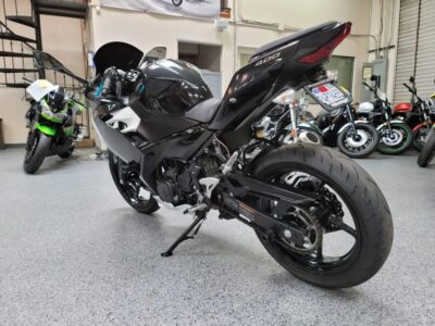 2019 Kawasaki Ninja 400