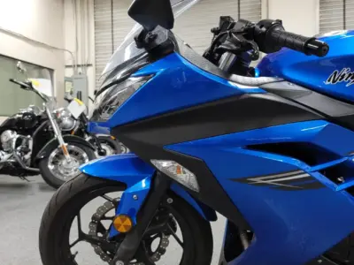 2017 Kawasaki Ninja 300 ABS