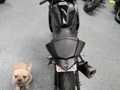 2017 Yamaha R3 ABS