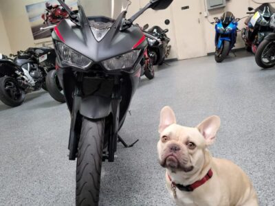 2017 Yamaha R3 ABS