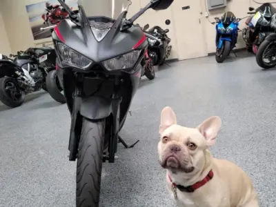2017 Yamaha R3 ABS