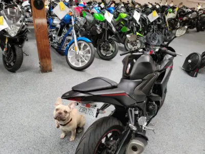 2017 Yamaha R3 ABS