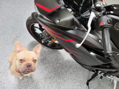 2017 Yamaha R3 ABS