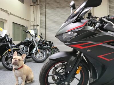 2017 Yamaha R3 ABS