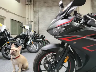 2017 Yamaha R3 ABS
