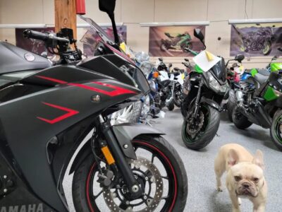 2017 Yamaha R3 ABS