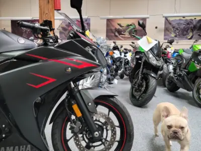 2017 Yamaha R3 ABS