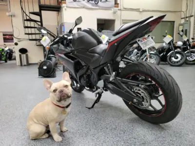2017 Yamaha R3 ABS