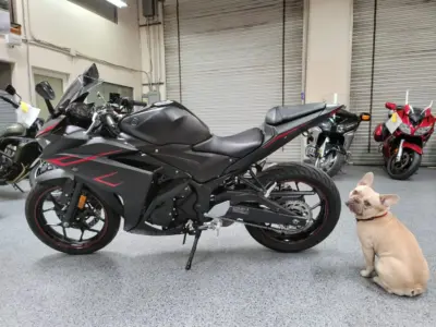 2017 Yamaha R3 ABS