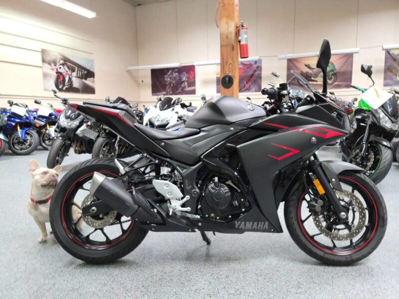 2017 Yamaha R3 ABS