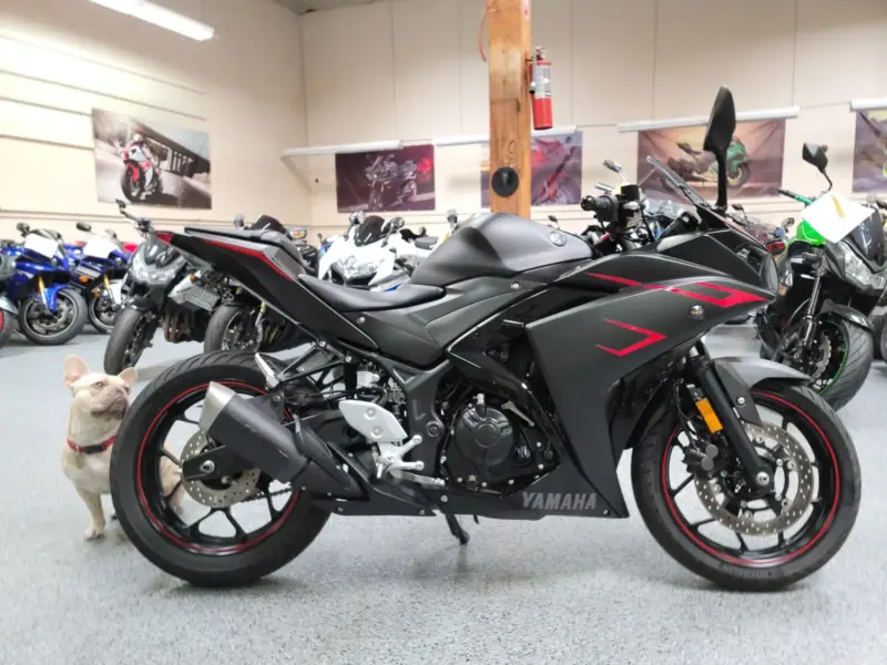 2017 Yamaha R3 ABS