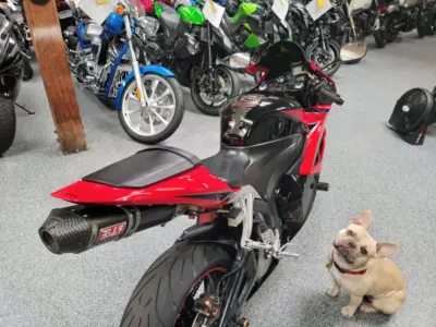 2010 Honda CBR600RR ABS