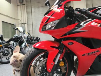 2010 Honda CBR600RR ABS