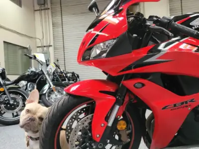 2010 Honda CBR600RR ABS
