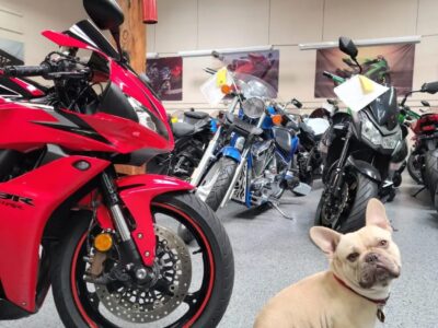 2010 Honda CBR600RR ABS