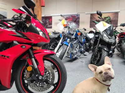 2010 Honda CBR600RR ABS
