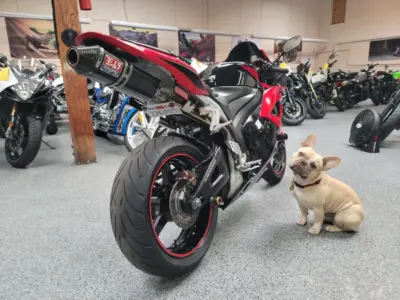 2010 Honda CBR600RR ABS