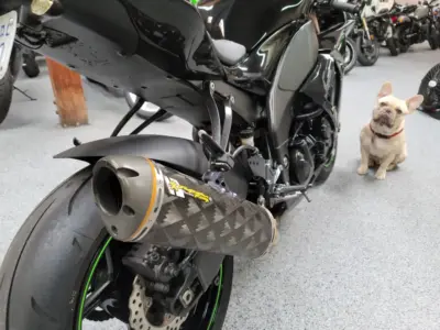 2008 Kawasaki Ninja ZX10R
