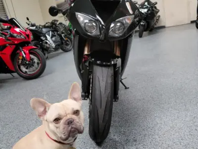 2008 Kawasaki Ninja ZX10R