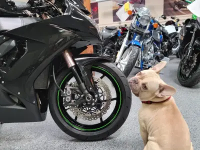 2008 Kawasaki Ninja ZX10R