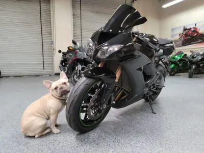 2008 Kawasaki Ninja ZX10R