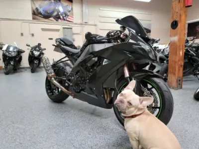 2008 Kawasaki Ninja ZX10R