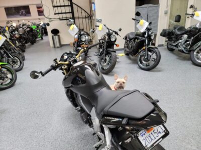 2011  HONDA CB1000R