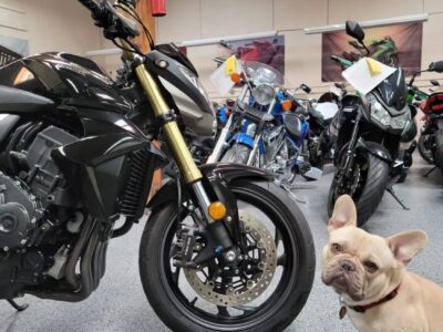2011  HONDA CB1000R