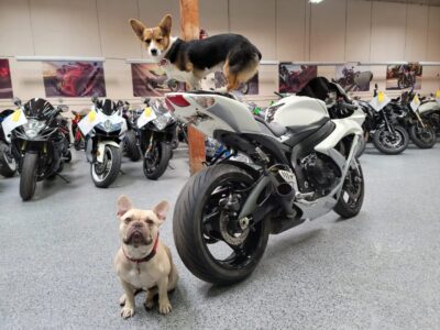 2009 Suzuki GSXR 750