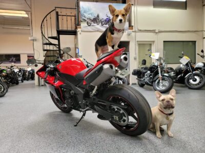 2013 Yamaha R1 Crossplane