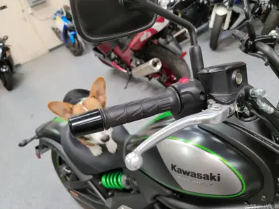 2016 Kawasaki Vulcan S ABS