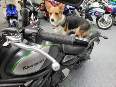2016 Kawasaki Vulcan S ABS