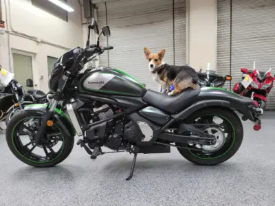 2016 Kawasaki Vulcan S ABS